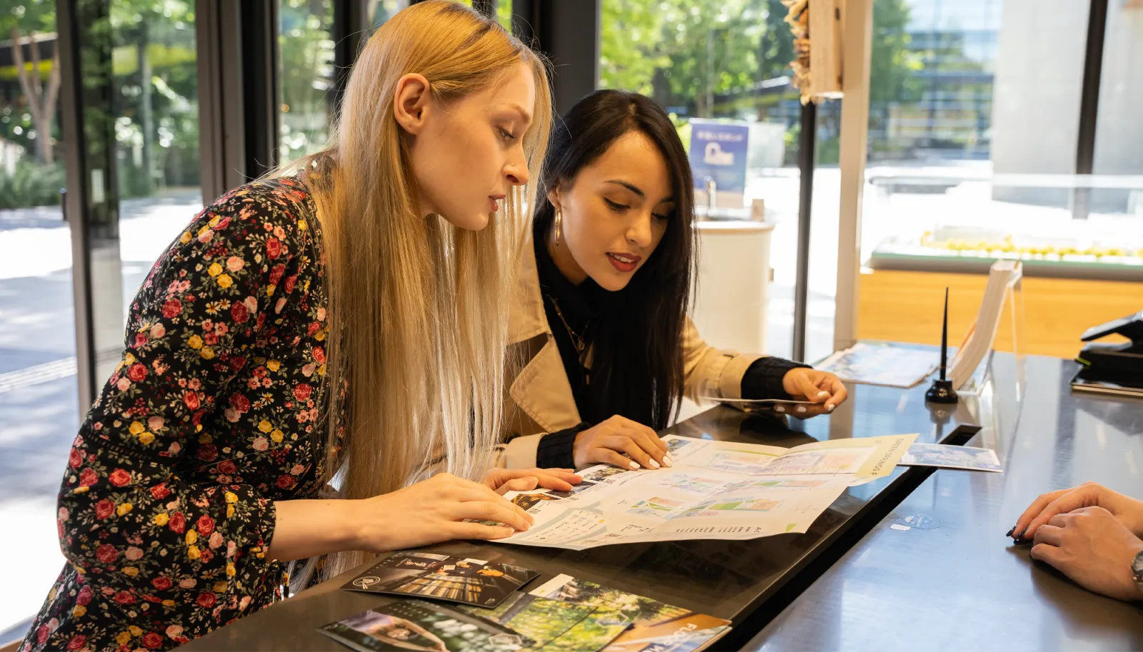 Project Introduction Image