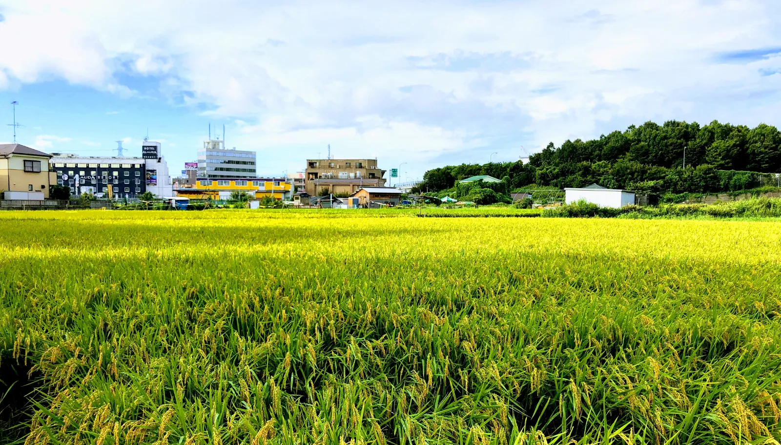 Project Introduction Image