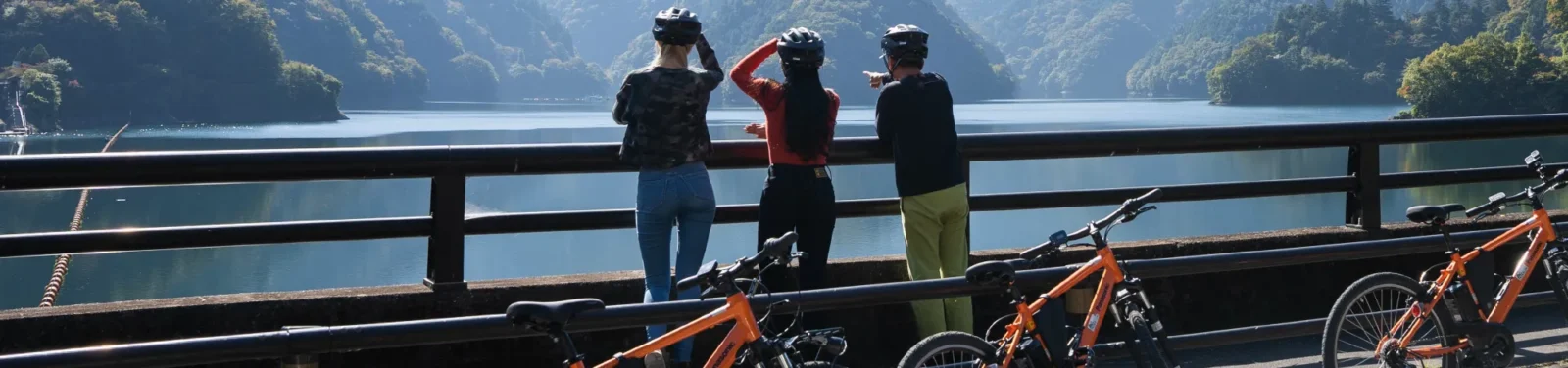 Project Introduction